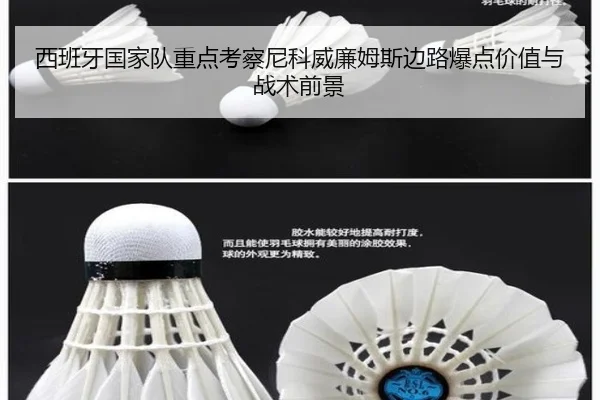 西班牙国家队重点考察尼科威廉姆斯边路爆点价值与战术前景